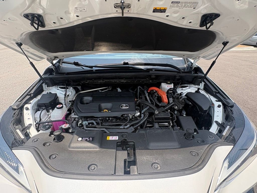 2023 Lexus NX 350h Premium